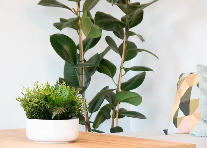 Wojskowa 1 / Park Apartman Poznań