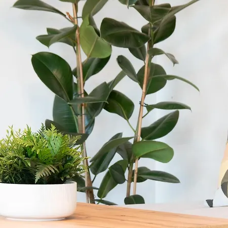 Wojskowa 1 / Park Apartment Poznan